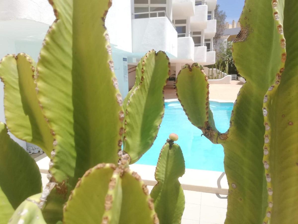 Ibiza * Colònia de Sant Jordi
